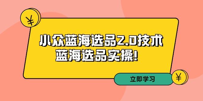 拼多多培训第33期：小众蓝海选品2.0技术-蓝海选品实操！-博库