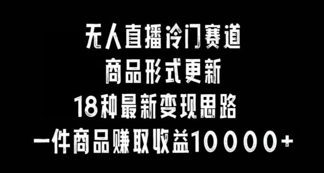 无人直播冷门赛道，商品形式更新，18种变现思路，一件商品赚取收益10000+【揭秘】-博库