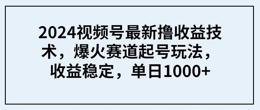 (9651期) 2024视频号最新撸收益技术，爆火赛道起号玩法，收益稳定，单日1000+-博库