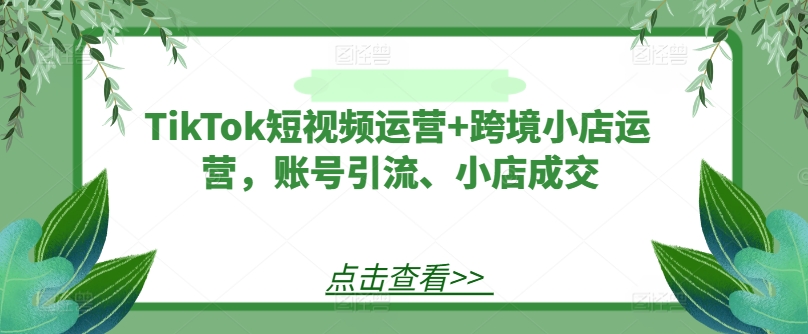 TikTok短视频运营+跨境小店运营，账号引流、小店成交-博库