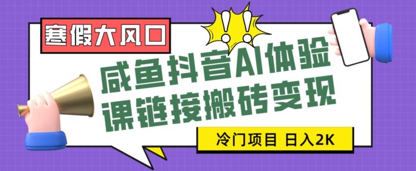 寒假大风口咸鱼抖音AI体验课链接搬砖变现，全网首发冷门项目，小白可日入2K+【揭秘】-博库