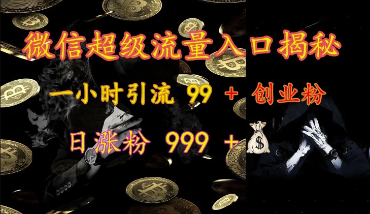 微信超级流量入口揭秘：一小时引流 99 + 创业粉，日涨粉 999 +-博库