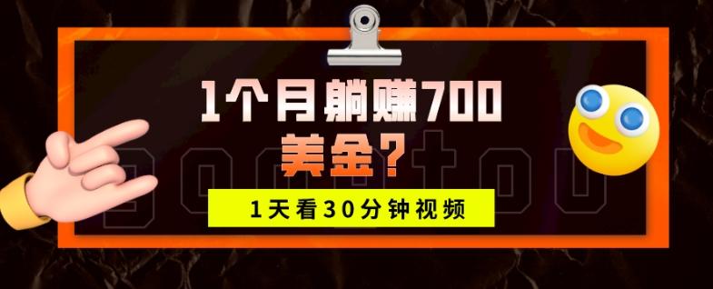 1天看30分钟视频，1个月躺赚700美金？-博库