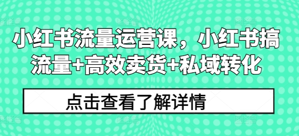 小红书流量运营课，小红书搞流量+高效卖货+私域转化-博库