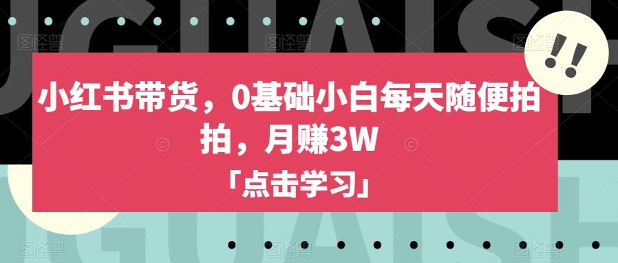 小红书带货，0基础小白每天随便拍拍，月赚3W【揭秘】-博库