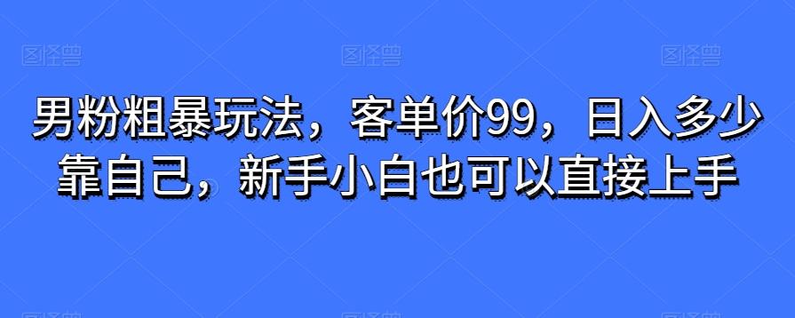 男粉粗暴玩法，客单价99，日入多少靠自己，新手小白也可以直接上手-博库