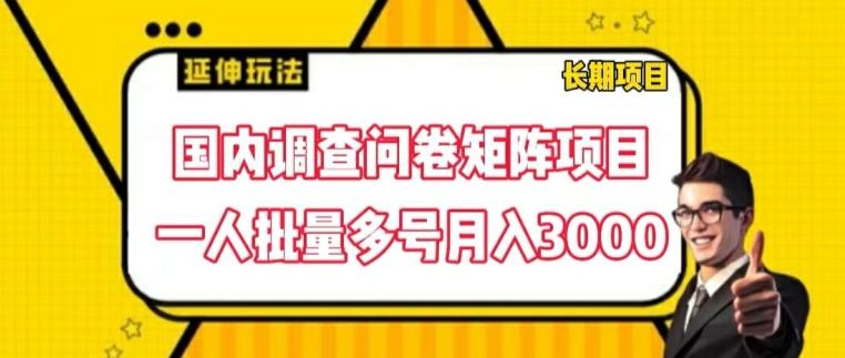 国内调查问卷矩阵项目，一人批量多号月入3000【揭秘】-博库