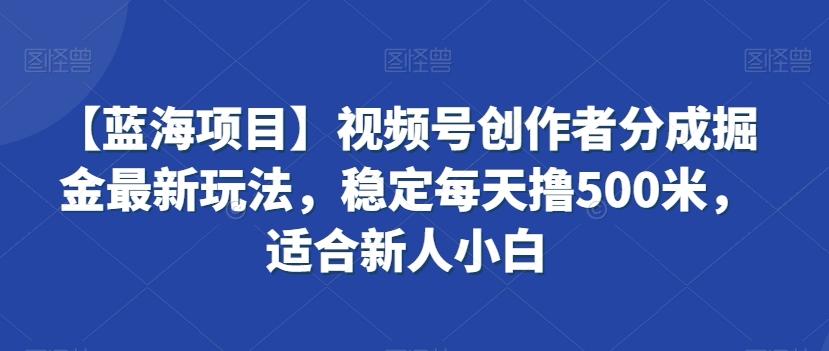 【蓝海项目】视频号创作者分成掘金最新玩法，稳定每天撸500米，适合新人小白【揭秘】-博库