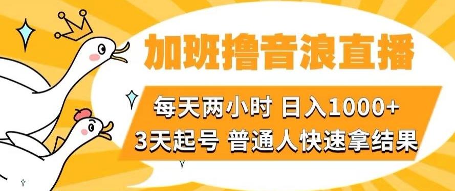 加班撸音浪直播，每天两小时，日入1000+，直播话术才3句，3天起号，普通人快速拿结果【揭秘】-博库