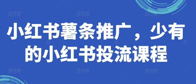 小红书薯条推广，少有的小红书投流课程-博库