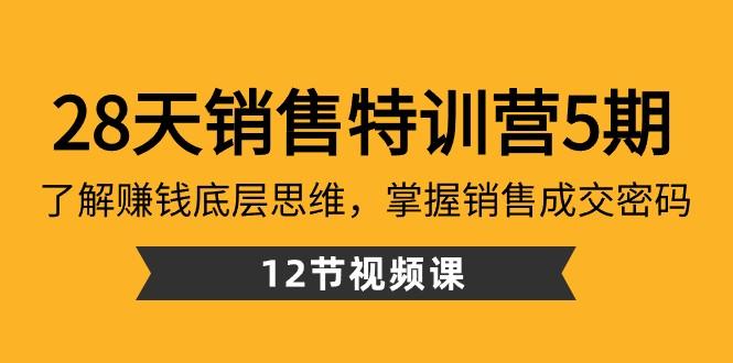 28天销售特训营5期：了解赚钱底层思维，掌握销售成交密码（12节课）-博库