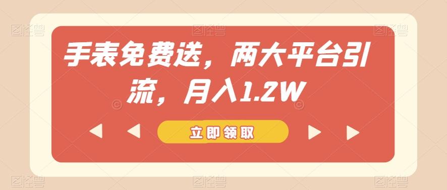 手表免费送，两大平台引流，月入1.2W【揭秘】-博库