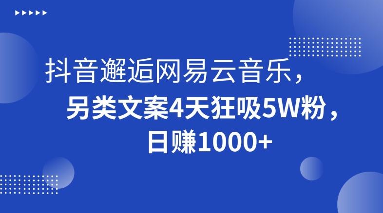 抖音邂逅网易云音乐，另类文案4天狂吸5W粉，日赚1000+【揭秘】-博库