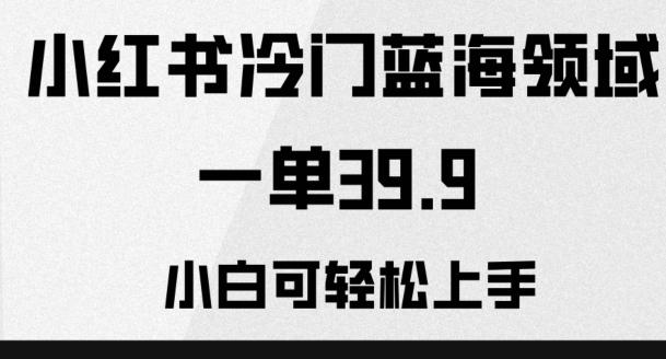 小红书冷门蓝海领域，一单39.9，小白可轻松上手-博库