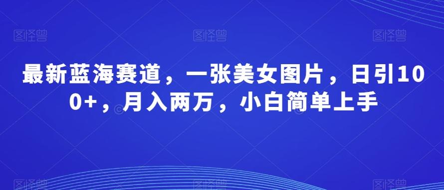 最新蓝海赛道，一张美女图片，日引100+，月入两万，小白简单上手-博库