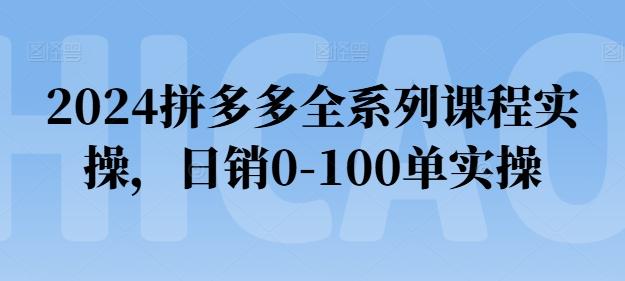 2024拼多多全系列课程实操，日销0-100单实操【必看】-博库