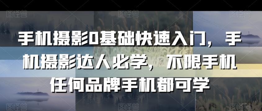 手机摄影0基础快速入门，手机摄影达人必学，不限手机任何品牌手机都可学-博库