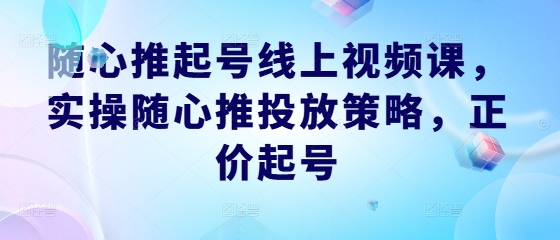 随心推起号线上视频课，实操随心推投放策略，正价起号-博库