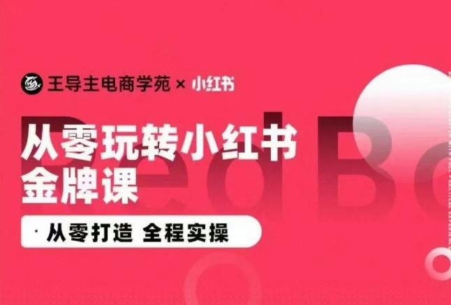 王导主·小红书电商运营实操课，​从零打造  全程实操-博库