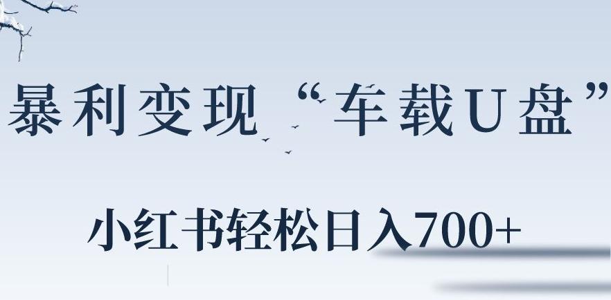 小红书“车载U盘”暴利引流，日入700+-博库