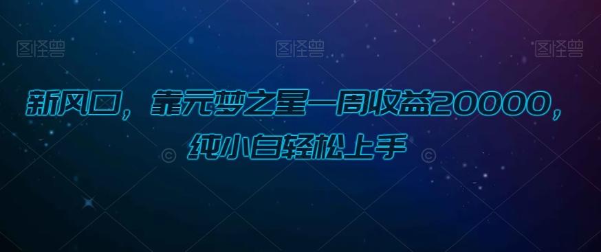 新风口，靠元梦之星一周收益20000，纯小白轻松上手-博库