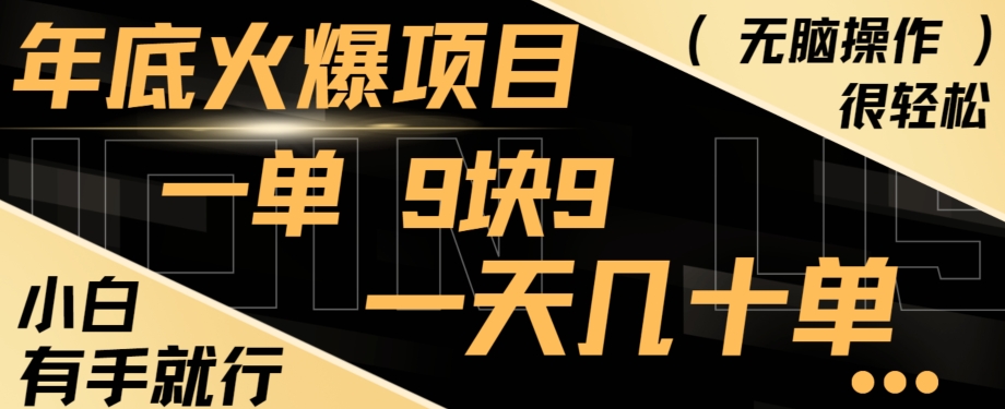 年底火爆项目，一单9.9，一天几十单，只需一部手机，傻瓜式操作，小白有手就行-博库