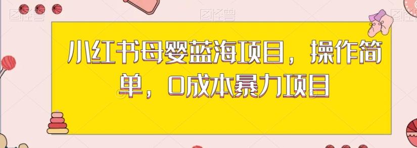 小红书母婴蓝海项目，操作简单，0成本暴力项目-博库