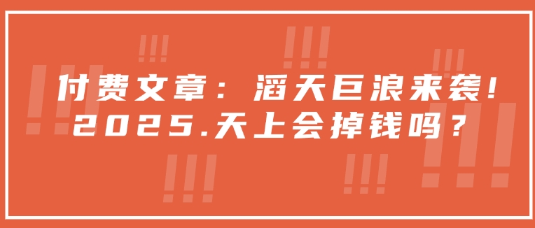 付费文章：滔天巨浪来袭！2025天上会掉钱吗？-博库