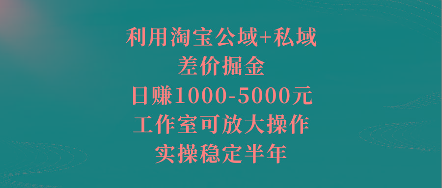 利用淘宝公域+私域差价掘金，日赚1000-5000元，工作室可放大操作，实操…-博库