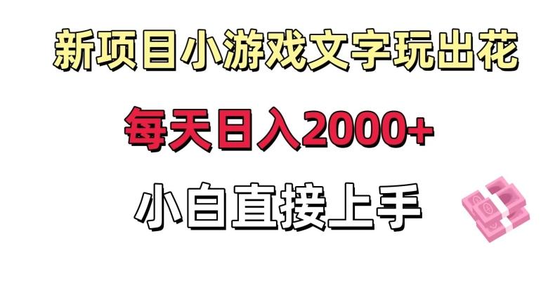 新项目小游戏文字玩出花日入2000+，每天只需一小时，小白直接上手【揭秘】-博库