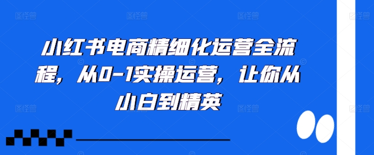 小红书电商精细化运营全流程，从0-1实操运营，让你从小白到精英-博库