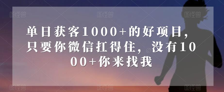 单日获客1000+的好项目，只要你微信扛得住，没有1000+你来找我【揭秘】-博库