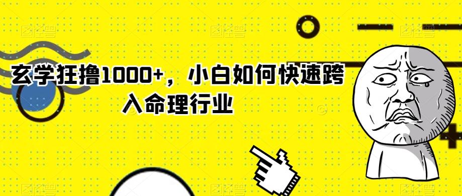 玄学狂撸1000+，小白如何快速跨入命理行业-博库