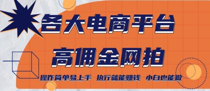 各大电商平台高佣金网拍，操作简单易上手，执行就能赚钱，小白也能做-博库