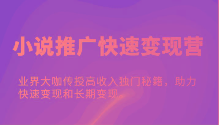 小说推广快速变现营-业界大咖传授高收入独门秘籍，助力快速变现和长期变现。-博库