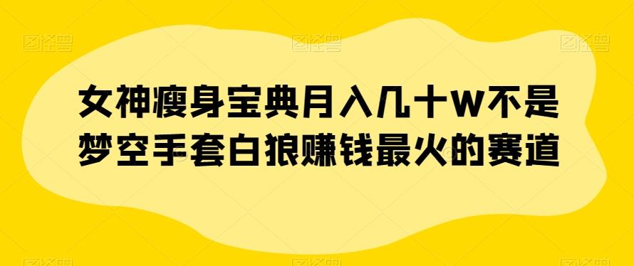 女神瘦身宝典月入几十W不是梦空手套白狼赚钱最火的赛道【揭秘】-博库