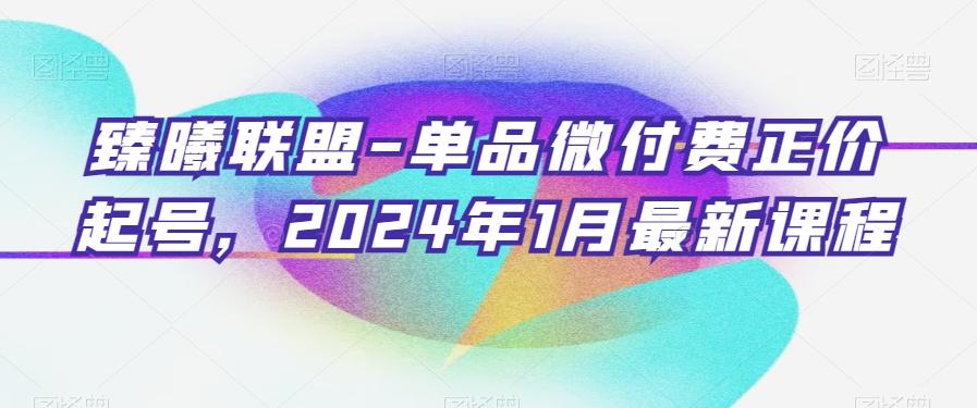 臻曦联盟-单品微付费正价起号，2024年1月最新课程-博库