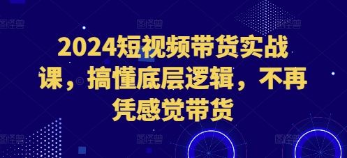 2024短视频带货实战课，搞懂底层逻辑，不再凭感觉带货-博库