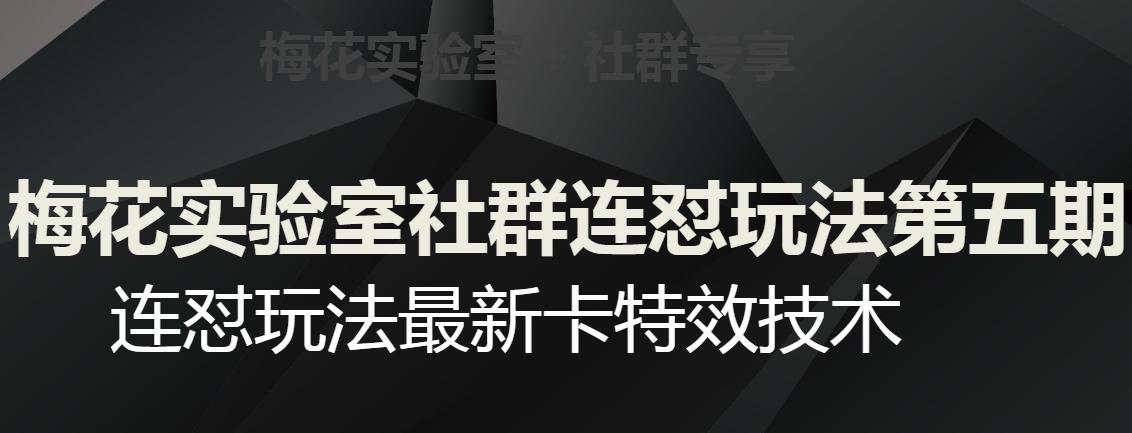 梅花实验室社群连怼玩法第五期，视频号连怼玩法最新卡特效技术-博库