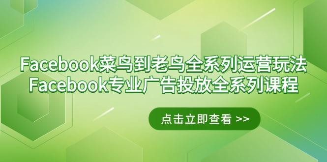 Facebook-菜鸟到老鸟全系列运营玩法+Facebook-专业广告投放全系列课程-博库