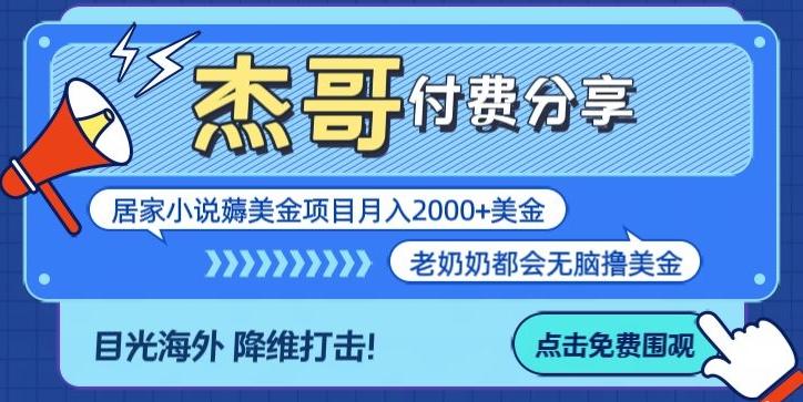 拆解海外撸美金项目月入2000美刀详细指导-博库