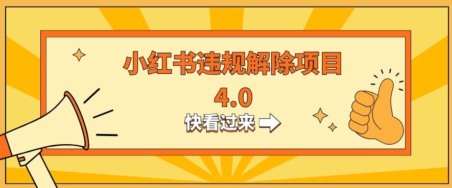 小红书违规掘金蓝海项目，日入800+（附带引流办法及解除办法）-博库