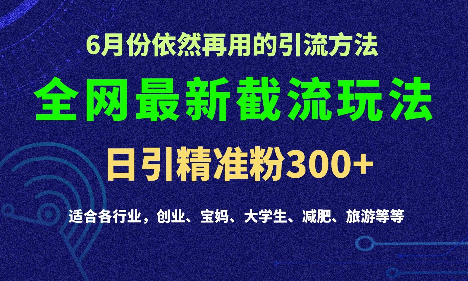 2024全网最新截留玩法，每日引流突破300+-博库