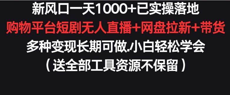 新风口一天1000+已实操落地购物平台短剧无人直播+网盘拉新+带货多种变现长期可做【揭秘】-博库