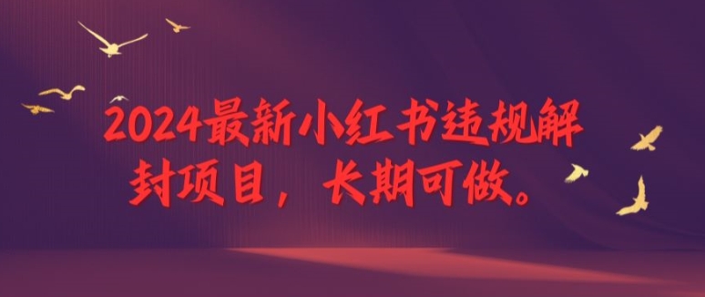 2024最新小红书违规解封项目，长期可做，一个可以做到退休的项目【揭秘】-博库