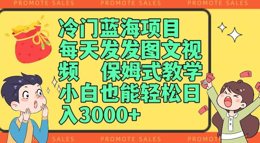 冷门蓝海项目，每天发发图文视频，保姆式教学，小白也能轻松日入3000+-博库