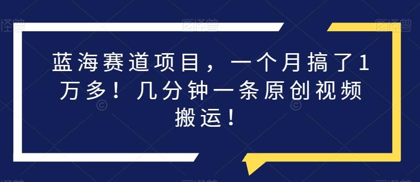 蓝海赛道项目，一个月搞了1万多！几分钟一条原创视频搬运！-博库