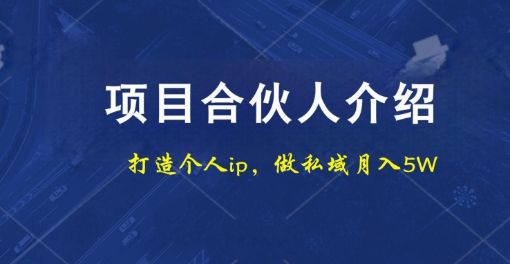 项目合伙人项目，打造个人IP，做私域月入5W，小白勿扰-博库