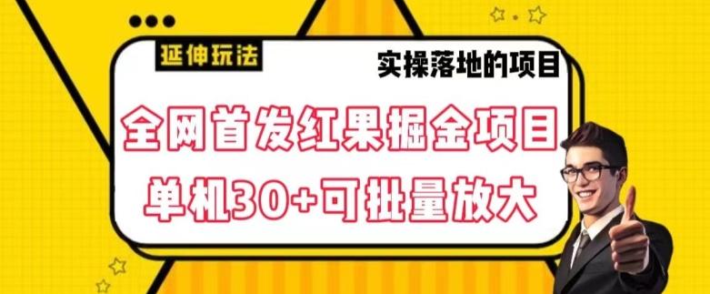 全网首发红果免费短剧掘金项目，单机30+可批量放大【揭秘】-博库