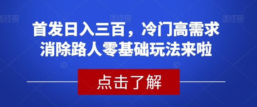 首发日入三百，冷门高需求消除路人零基础玩法来啦【揭秘】-博库